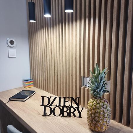 Apartament Lux Lemon Jelenia Góra Extérieur photo