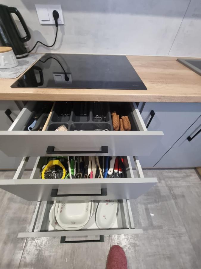 Apartament Lux Lemon Jelenia Góra Extérieur photo