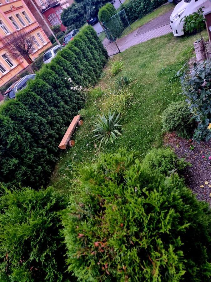 Apartament Lux Lemon Jelenia Góra Extérieur photo