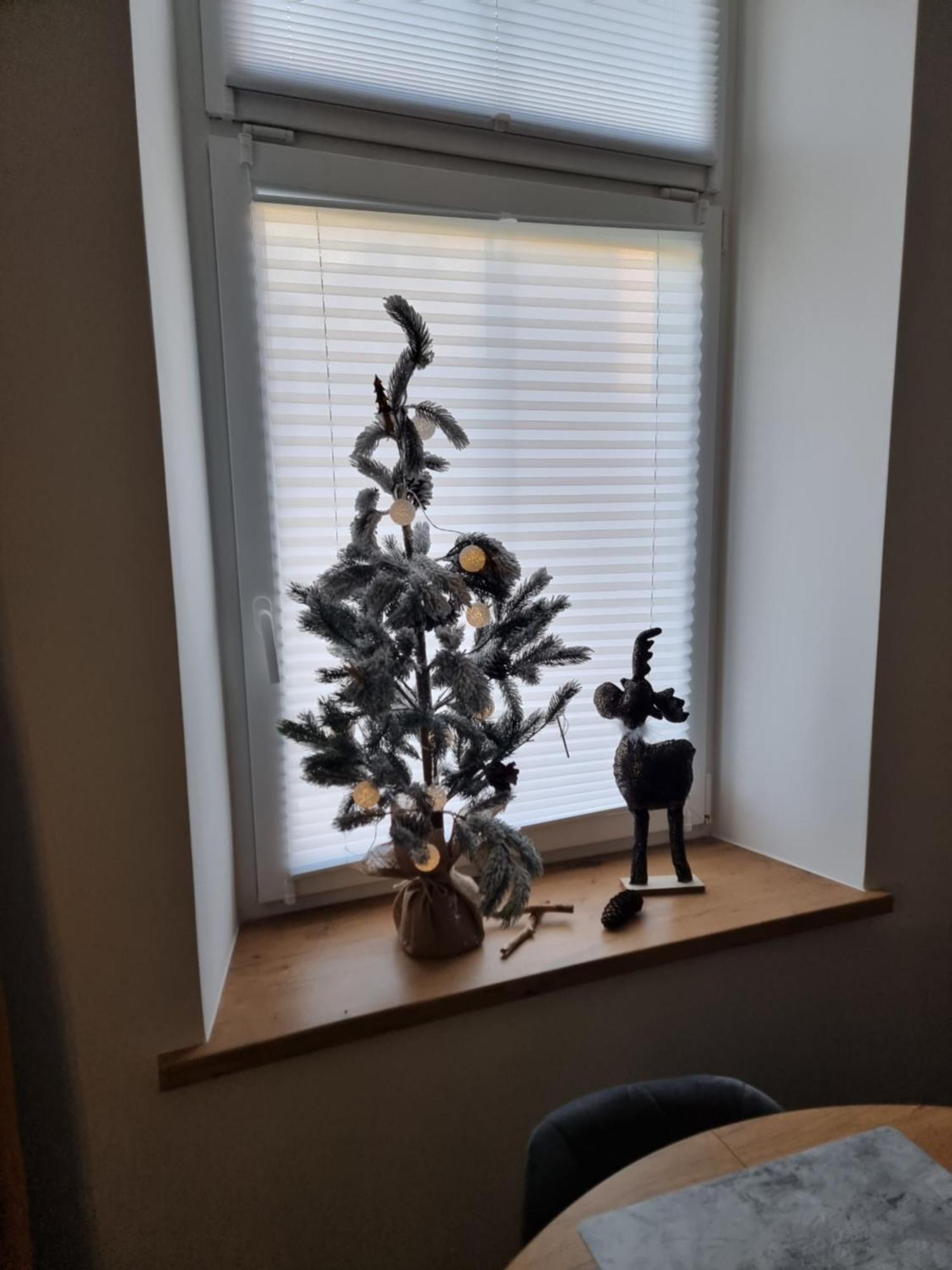 Apartament Lux Lemon Jelenia Góra Extérieur photo