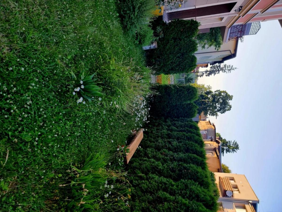 Apartament Lux Lemon Jelenia Góra Extérieur photo