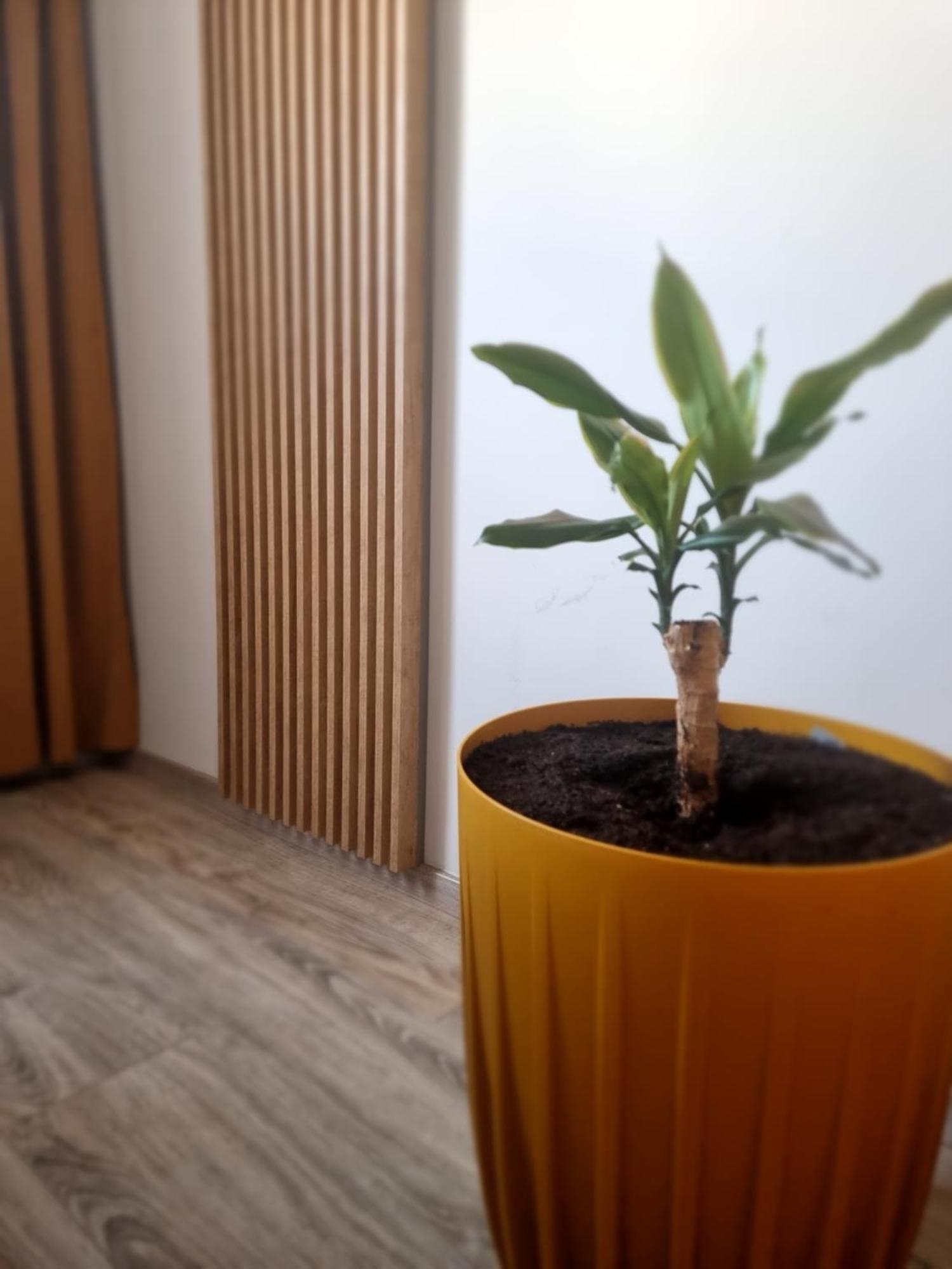 Apartament Lux Lemon Jelenia Góra Extérieur photo